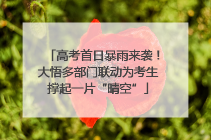 高考首日暴雨来袭！大悟多部门联动为考生撑起一片“晴空”