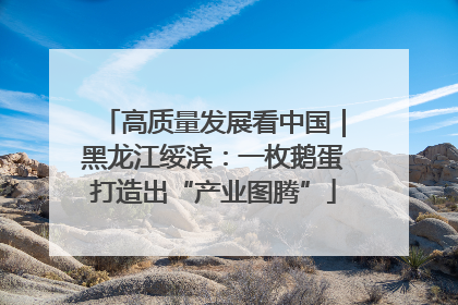 高质量发展看中国｜黑龙江绥滨：一枚鹅蛋打造出“产业图腾”