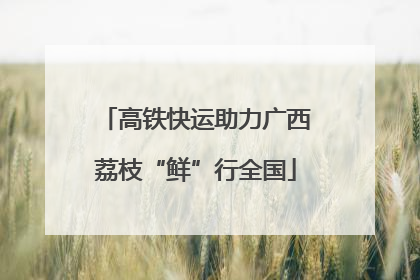 高铁快运助力广西荔枝“鲜”行全国