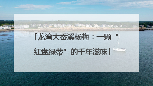 龙湾大岙溪杨梅：一颗“红盘绿蒂”的千年滋味