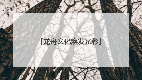 龙舟文化焕发光彩