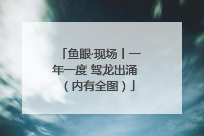 鱼眼·现场丨一年一度 驾龙出涌（内有全图）