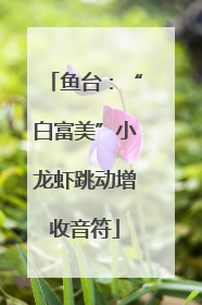 鱼台：“白富美”小龙虾跳动增收音符