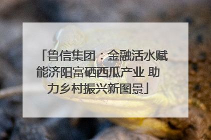 鲁信集团：金融活水赋能济阳富硒西瓜产业 助力乡村振兴新图景