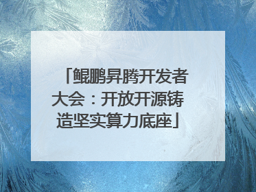 鲲鹏昇腾开发者大会：开放开源铸造坚实算力底座