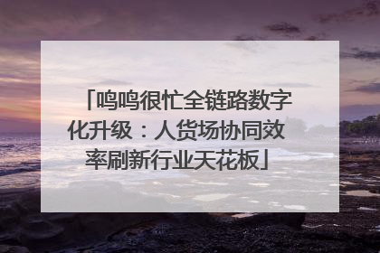 鸣鸣很忙全链路数字化升级：人货场协同效率刷新行业天花板