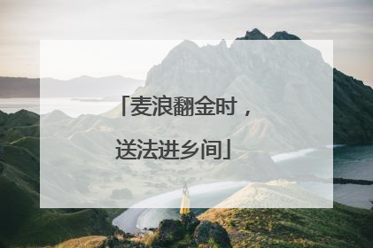 麦浪翻金时，送法进乡间