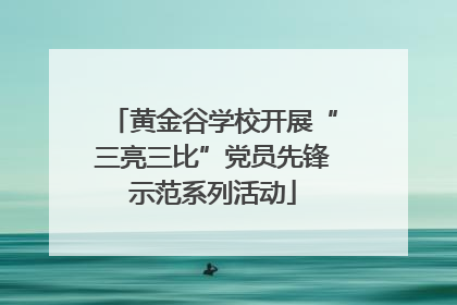 黄金谷学校开展“三亮三比”党员先锋示范系列活动