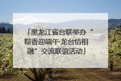 黑龙江省台联举办“粽香迎端午·龙台情相融”交流联谊活动