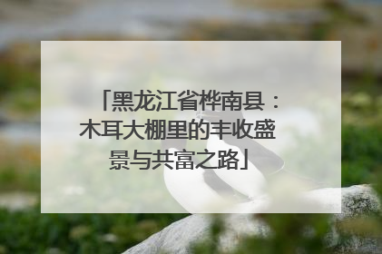 黑龙江省桦南县：木耳大棚里的丰收盛景与共富之路