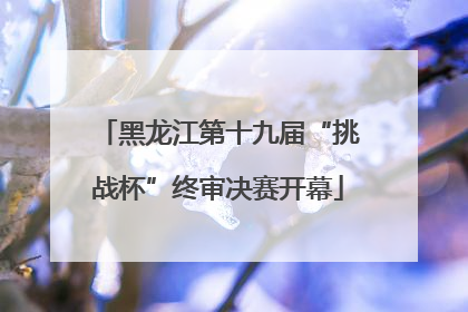 黑龙江第十九届“挑战杯”终审决赛开幕