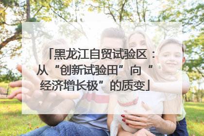 黑龙江自贸试验区：从“创新试验田”向“经济增长极”的质变