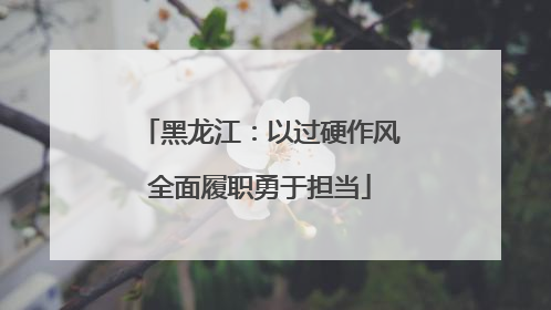 黑龙江：以过硬作风全面履职勇于担当
