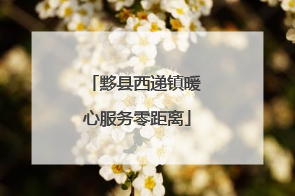 黟县西递镇暖心服务零距离