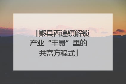 黟县西递镇解锁产业“丰景”里的共富方程式