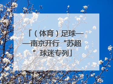 （体育）足球——南京开行“苏超”球迷专列