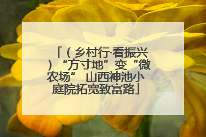 （乡村行·看振兴）“方寸地”变“微农场” 山西神池小庭院拓宽致富路