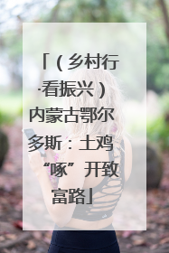 （乡村行·看振兴）内蒙古鄂尔多斯：土鸡“啄”开致富路