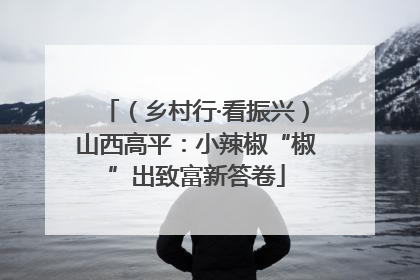 （乡村行·看振兴）山西高平：小辣椒“椒”出致富新答卷