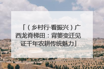 (乡村行·看振兴)广西龙脊梯田:背篓变迁见证千年农耕传统魅力