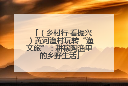 （乡村行·看振兴）黄河渔村玩转“渔文旅”：耕稼陶渔里的乡野生活