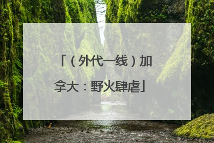 （外代一线）加拿大：野火肆虐