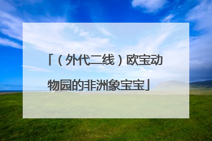 （外代二线）欧宝动物园的非洲象宝宝