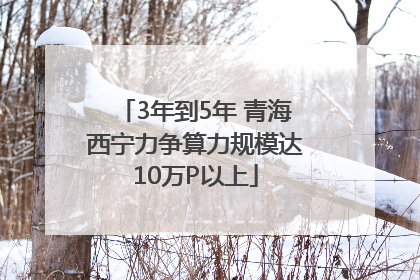 3年到5年 青海西宁力争算力规模达10万P以上