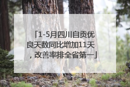 1-5月四川自贡优良天数同比增加11天，改善率排全省第一