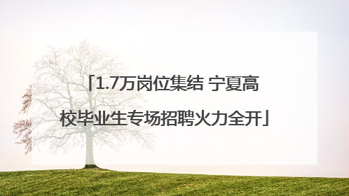 1.7万岗位集结 宁夏高校毕业生专场招聘火力全开