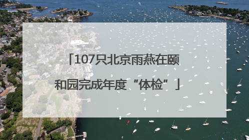107只北京雨燕在颐和园完成年度“体检”