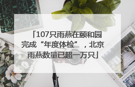 107只雨燕在颐和园完成“年度体检”，北京雨燕数量已超一万只