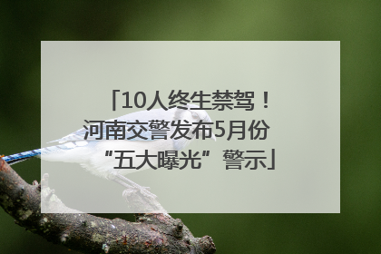 10人终生禁驾！河南交警发布5月份“五大曝光”警示
