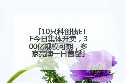 10只科创债ETF今日集体开卖，300亿规模可期，多家亮牌一日售罄