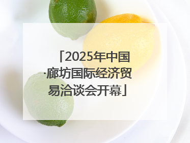 2025年中国·廊坊国际经济贸易洽谈会开幕