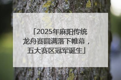 2025年麻阳传统龙舟赛圆满落下帷幕，五大赛区冠军诞生