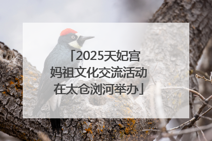 2025天妃宫妈祖文化交流活动在太仓浏河举办