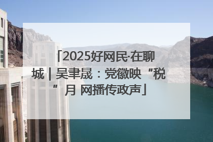 2025好网民·在聊城｜吴聿晟：党徽映“税”月 网播传政声