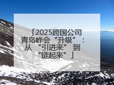 2025跨国公司青岛峰会“升级”：从 “引进来” 到 “链起来”