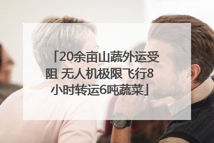 20余亩山蔬外运受阻 无人机极限飞行8小时转运6吨蔬菜