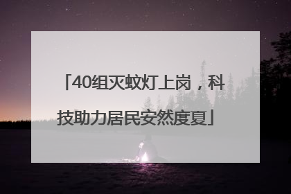 40组灭蚊灯上岗，科技助力居民安然度夏