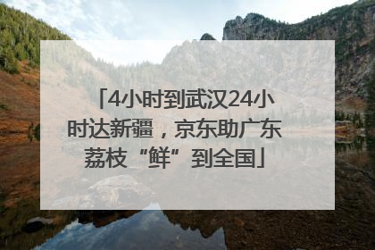 4小时到武汉24小时达新疆，京东助广东荔枝“鲜”到全国