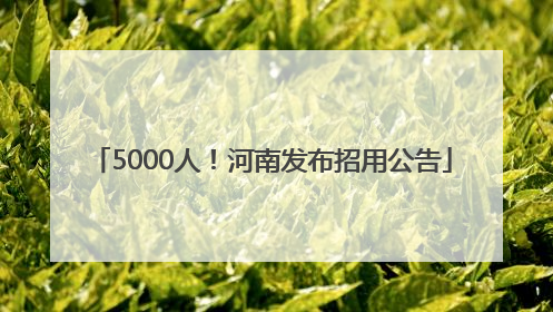 5000人！河南发布招用公告
