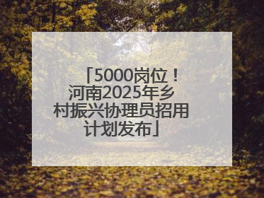 5000岗位！河南2025年乡村振兴协理员招用计划发布