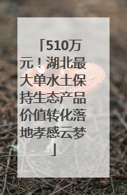 510万元！湖北最大单水土保持生态产品价值转化落地孝感云梦