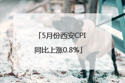 5月份西安CPI同比上涨0.8%