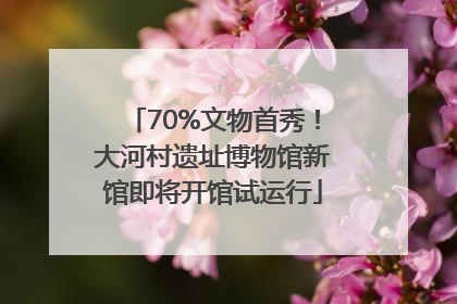 70%文物首秀！大河村遗址博物馆新馆即将开馆试运行