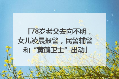 78岁老父去向不明，女儿凌晨报警，民警辅警和“黄鹤卫士”出动