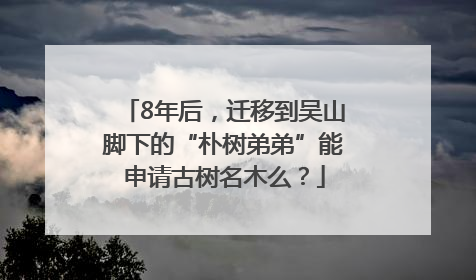 8年后，迁移到吴山脚下的“朴树弟弟”能申请古树名木么？
