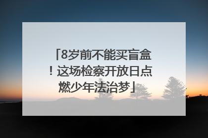 8岁前不能买盲盒！这场检察开放日点燃少年法治梦